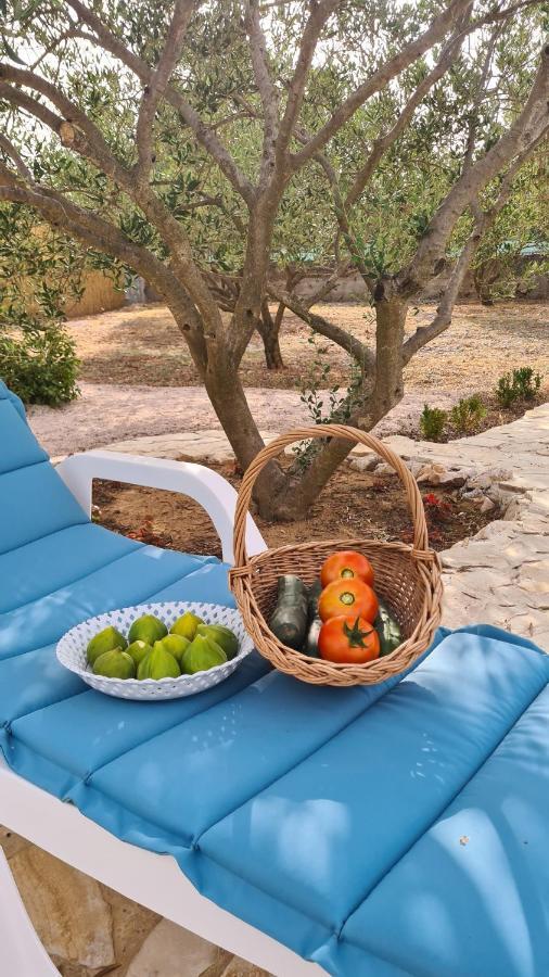 Villa Bubica- Cozy Holiday Home In Rural Area With Pool Stankovci  Extérieur photo